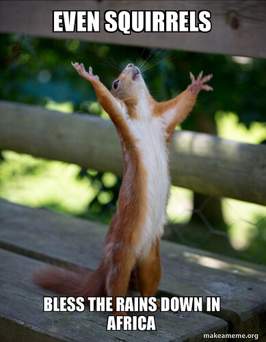 even-squirrels-bless