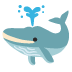 :whale: :whale: