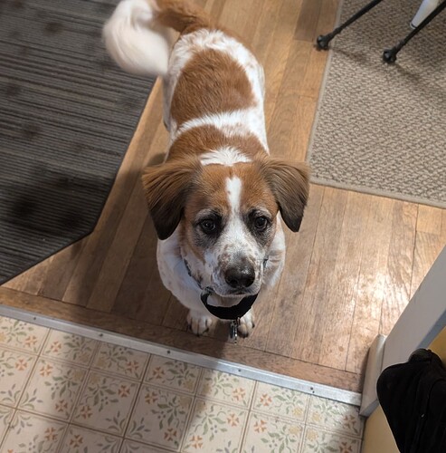 Tilly