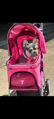 IMG_5380