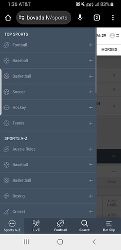 Screenshot_20251020-133649_Chrome