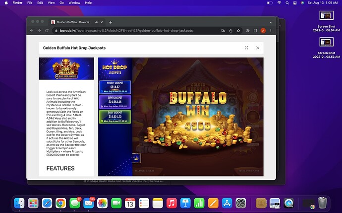 Screen Shot 2022-08-13 at 1.09.09 AM