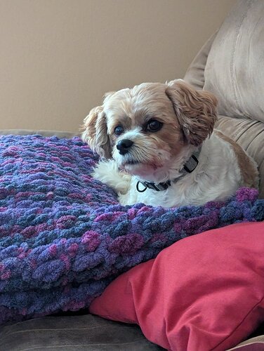 Mav
