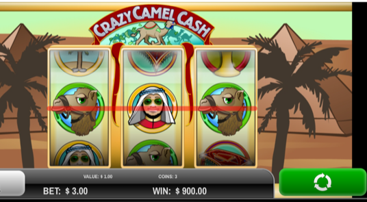 camel cash (2)